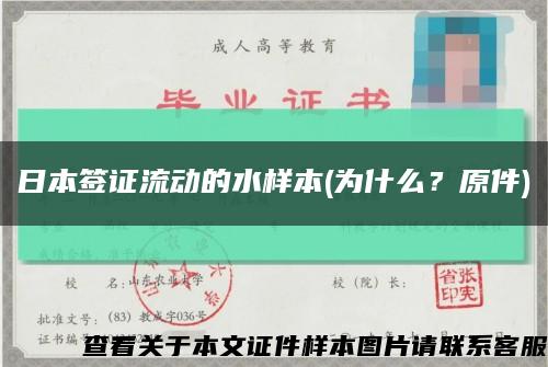 日本签证流动的水样本(为什么？原件)缩略图