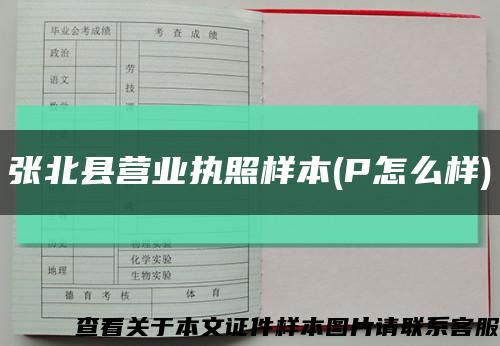 张北县营业执照样本(P怎么样)缩略图