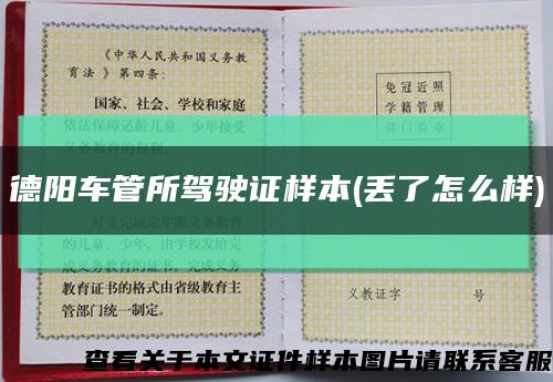 德阳车管所驾驶证样本(丢了怎么样)缩略图