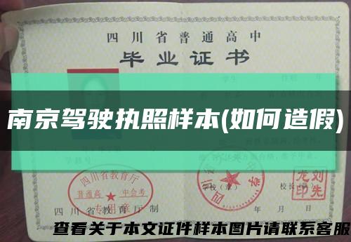 南京驾驶执照样本(如何造假)缩略图