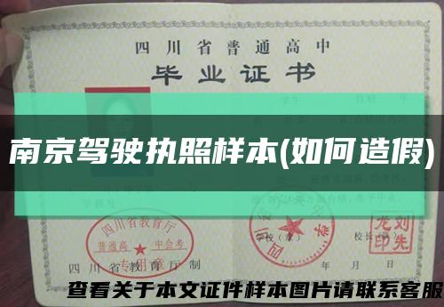 南京驾驶执照样本(如何造假)缩略图