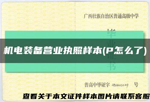 机电装备营业执照样本(P怎么了)缩略图