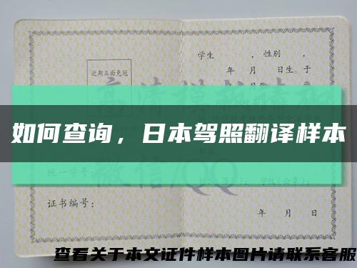 如何查询，日本驾照翻译样本缩略图