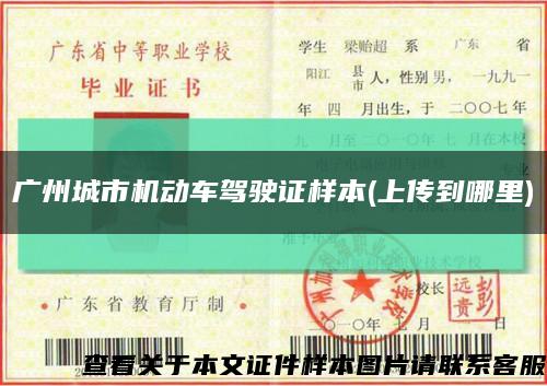 广州城市机动车驾驶证样本(上传到哪里)缩略图