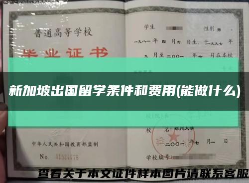 新加坡出国留学条件和费用(能做什么)缩略图