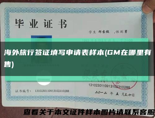 海外旅行签证填写申请表样本(GM在哪里有售)缩略图