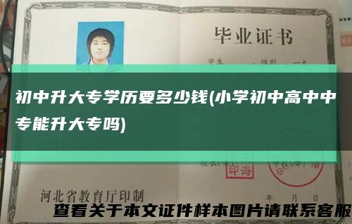 初中升大专学历要多少钱(小学初中高中中专能升大专吗)缩略图