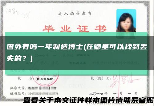 国外有吗一年制造博士(在哪里可以找到丢失的？)缩略图