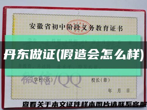 丹东做证(假造会怎么样)缩略图