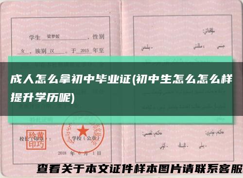 成人怎么拿初中毕业证(初中生怎么怎么样提升学历呢)缩略图