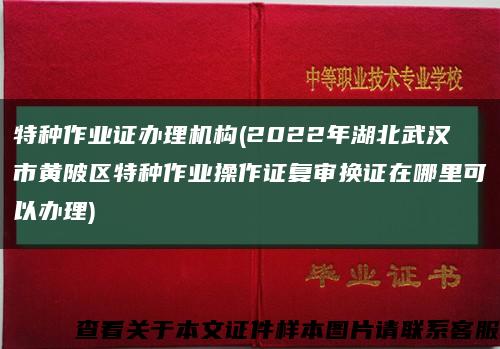 特种作业证办理机构(2022年湖北武汉市黄陂区特种作业操作证复审换证在哪里可以办理)缩略图