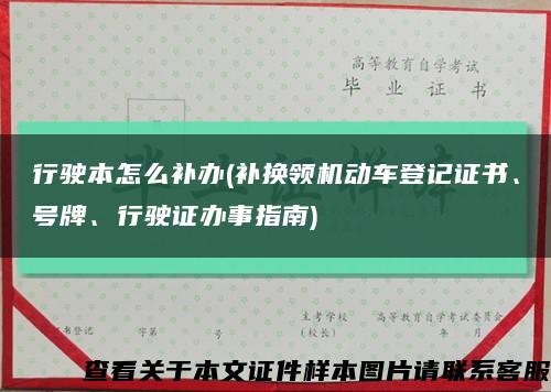 行驶本怎么补办(补换领机动车登记证书、号牌、行驶证办事指南)缩略图