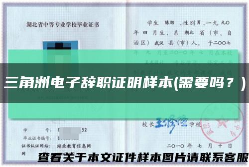 三角洲电子辞职证明样本(需要吗？)缩略图