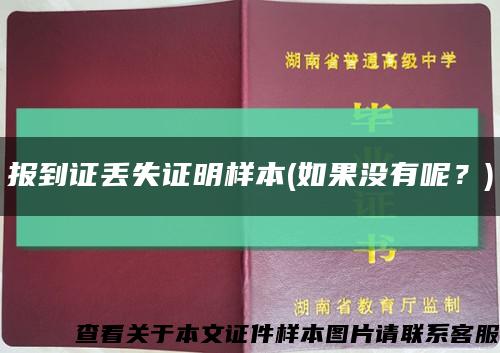 报到证丢失证明样本(如果没有呢？)缩略图