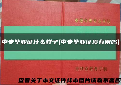 中专毕业证什么样子(中专毕业证没有用吗)缩略图