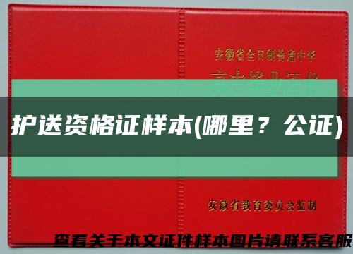 护送资格证样本(哪里？公证)缩略图