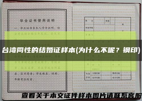 台湾同性的结婚证样本(为什么不呢？钢印)缩略图