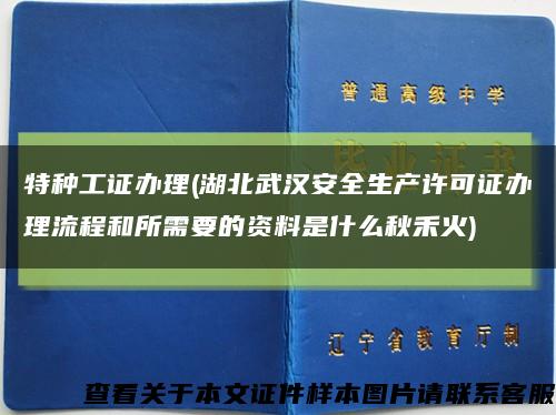 特种工证办理(湖北武汉安全生产许可证办理流程和所需要的资料是什么秋禾火)缩略图