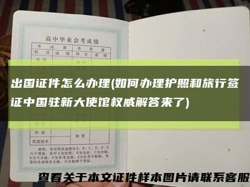 出国证件怎么办理(如何办理护照和旅行签证中国驻新大使馆权威解答来了)缩略图