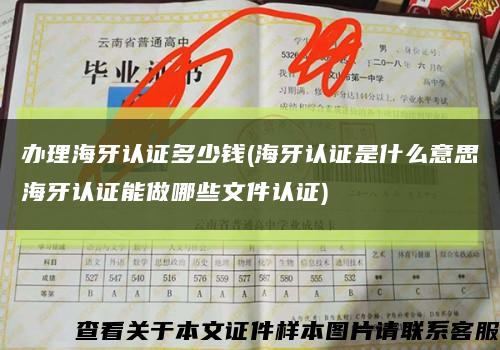 办理海牙认证多少钱(海牙认证是什么意思海牙认证能做哪些文件认证)缩略图