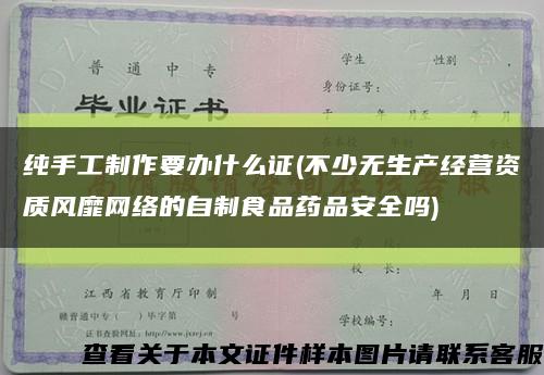 纯手工制作要办什么证(不少无生产经营资质风靡网络的自制食品药品安全吗)缩略图