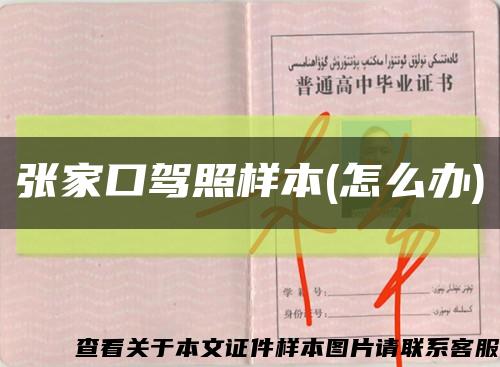 张家口驾照样本(怎么办)缩略图