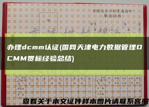 办理dcmm认证(国网天津电力数据管理DCMM贯标经验总结)缩略图