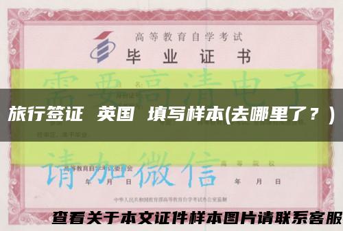 旅行签证 英国 填写样本(去哪里了？)缩略图