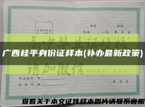 广西桂平身份证样本(补办最新政策)缩略图