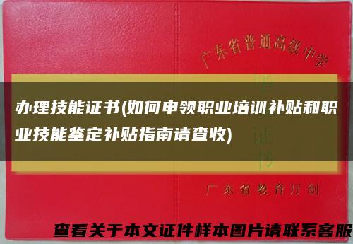 办理技能证书(如何申领职业培训补贴和职业技能鉴定补贴指南请查收)缩略图