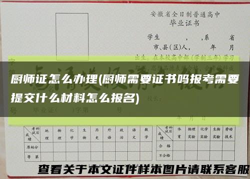 厨师证怎么办理(厨师需要证书吗报考需要提交什么材料怎么报名)缩略图