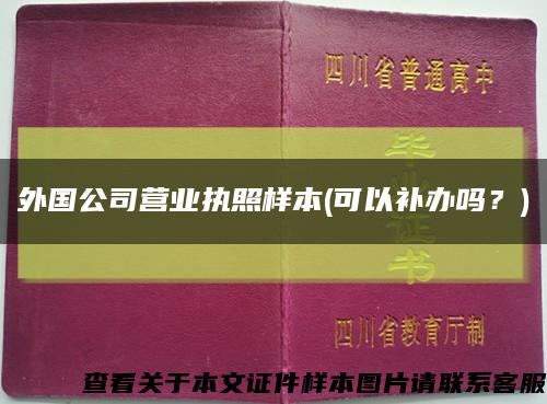外国公司营业执照样本(可以补办吗？)缩略图