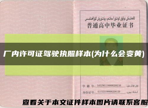 厂内许可证驾驶执照样本(为什么会变黄)缩略图