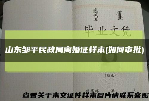 山东邹平民政局离婚证样本(如何审批)缩略图