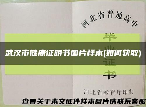 武汉市健康证明书图片样本(如何获取)缩略图