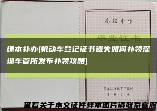绿本补办(机动车登记证书遗失如何补领深圳车管所发布补领攻略)缩略图