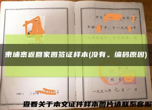 柬埔寨返回家园签证样本(没有。编码原因)缩略图