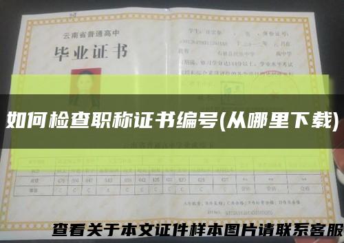 如何检查职称证书编号(从哪里下载)缩略图