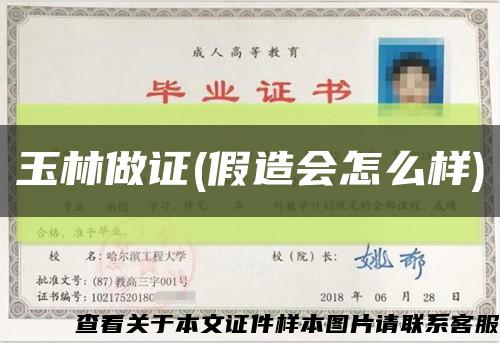 玉林做证(假造会怎么样)缩略图