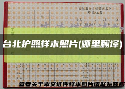 台北护照样本照片(哪里翻译)缩略图