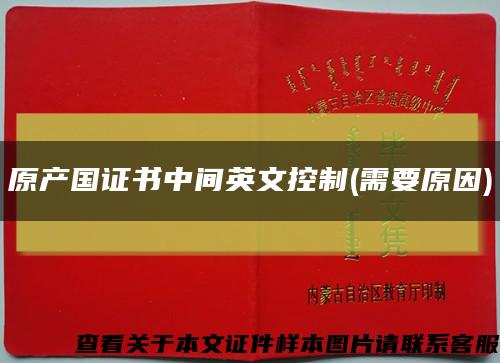 原产国证书中间英文控制(需要原因)缩略图