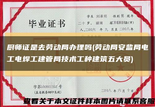 厨师证是去劳动局办理吗(劳动局安监局电工电焊工建管局技术工种建筑五大员)缩略图