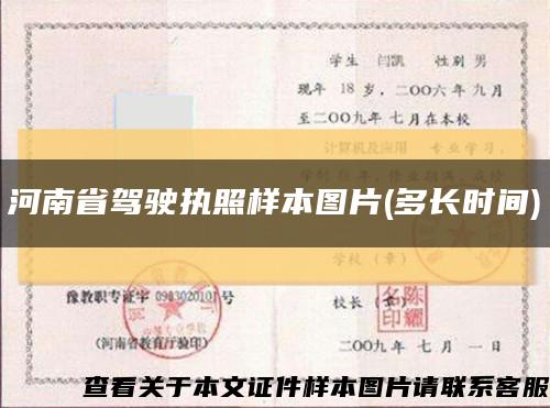 河南省驾驶执照样本图片(多长时间)缩略图