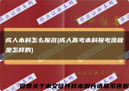 成人本科怎么报名(成人高考本科报考流程是怎样的)缩略图