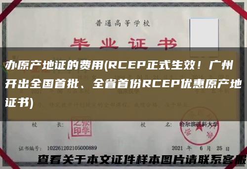 办原产地证的费用(RCEP正式生效！广州开出全国首批、全省首份RCEP优惠原产地证书)缩略图