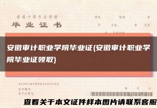 安徽审计职业学院毕业证(安徽审计职业学院毕业证领取)缩略图