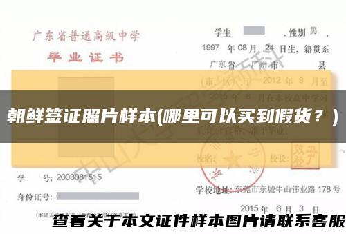 朝鲜签证照片样本(哪里可以买到假货？)缩略图