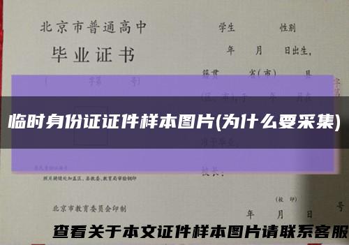 临时身份证证件样本图片(为什么要采集)缩略图