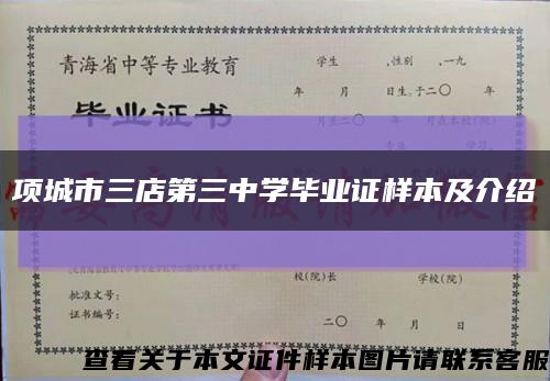 项城市三店第三中学毕业证样本及介绍缩略图
