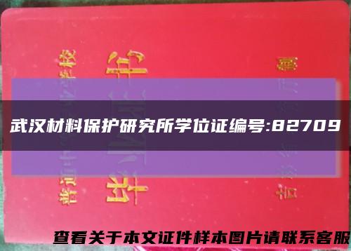 武汉材料保护研究所学位证编号:82709缩略图